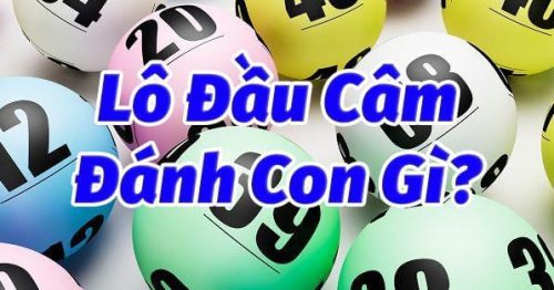 Đầu câm, đít câm đánh lô gì? Kinh nghiệm bắt lô câm hiệu quả