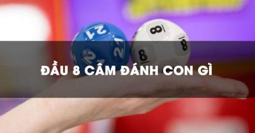 Hôm nay có đầu 8 câm thì ngày mai đánh con gì trúng lớn?