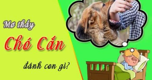 Ngủ mơ bị chó cắn là điềm tốt hay điềm xấu? Nên đánh con gì?