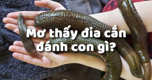 Giải mã giấc mơ thấy đỉa? Con số may nắm trong giấc mơ là gì