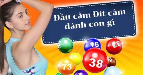 Kinh Nghiệm Chơi Lô Câm Đầu, Câm Đuôi Nắm Chắc Phần Thắng