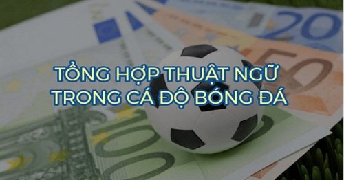 50 Thuật ngữ cá độ bóng đá được dùng nhiều nhất hiện nay