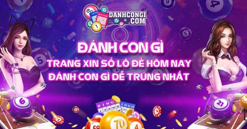 Kinh nghiệm bao lô: Cách đạt kỹ năng và tạo niềm tin