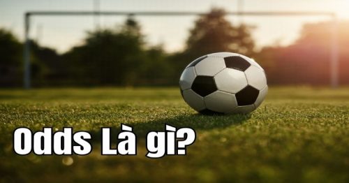 Odds là gì? Tìm hiểu khái quát về các tỷ lệ cược Odd hấp dẫn