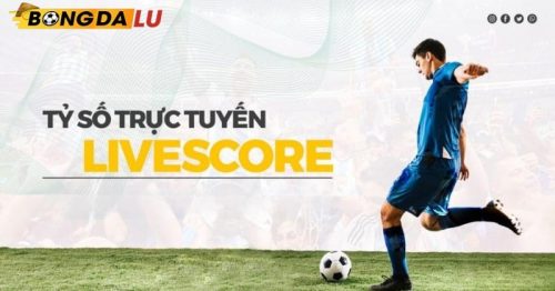 Livescore Bongdalu – Nền tảng thể thao chất lượng cao