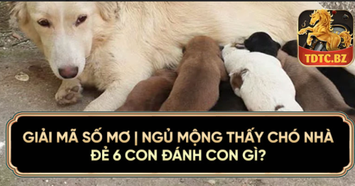 Giải Mã Số Mơ | Ngủ Mộng Thấy Chó Nhà Đẻ 6 Con Đánh Con Gì?