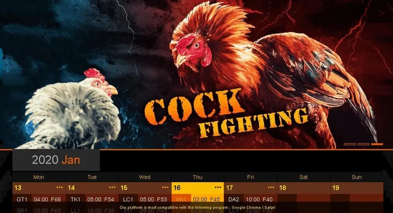 Lợi Ích Của Việc Theo Dõi Livestream Đá Gà Trực Tiếp